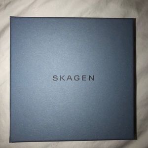 Skagen Bracelet and Earring Set